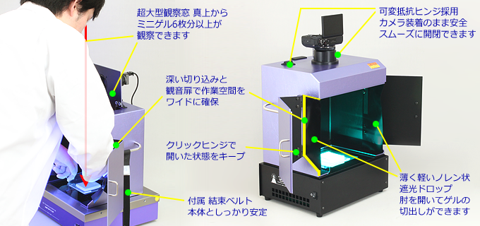 ゲル切り出し・CCD撮影・観察状況