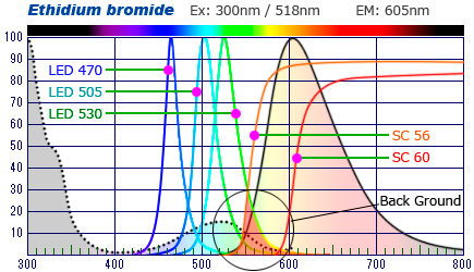 LEDの選択と蛍光試薬　励起蛍光波長 分光特性　バックグラウンド