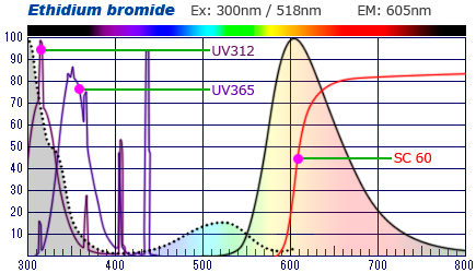 UVとエチブロ　Spectrum 励起蛍光波長 分光特性