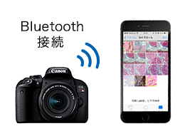 Canon EOS X9顕微鏡撮影カメラアダプター付セット【光学・みかん 