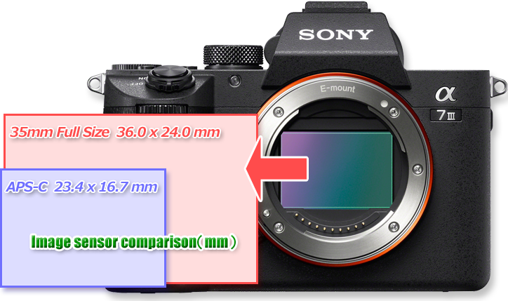 35mm　フルサイズセンサー　Sony a7Ⅲ
