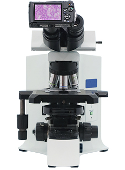 顕微鏡撮影　TG-6システム